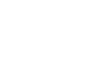 Matt Lang